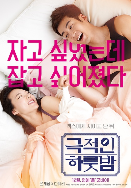 戏剧性的一夜 극적인 하룻밤 [2015][喜剧 / 爱情][韩国]