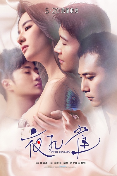 夜孔雀 [2015][剧情 / 爱情][中国大陆 / 法国]