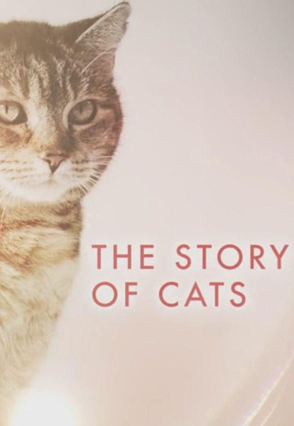 ITV：猫科动物的故事 The Story of Cats [2016][ 纪录片][英国 / 美国]