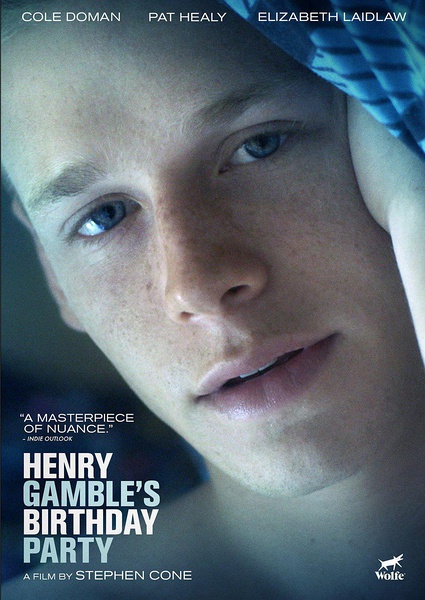 派对十七岁 Henry Gamble's Birthday Party [2015][剧情 / 同性][美国]