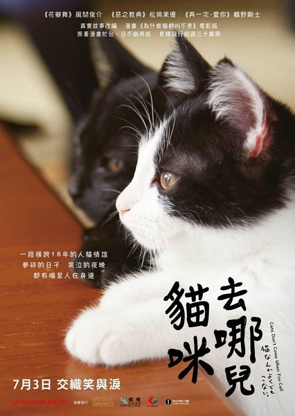 为什么猫都叫不来 猫なんかよんでもこない。 [2016][剧情][日本]