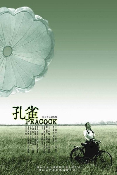 孔雀 [2005][剧情 / 家庭][中国大陆]