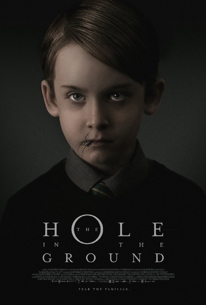 地面之洞 The Hole in the Ground [WEB-DL720p/1080p内嵌中英字幕][恐怖][2019][爱尔兰/芬兰]