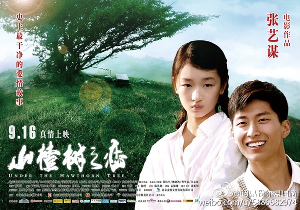 山楂树之恋 [2010][ 剧情 / 爱情][中国大陆]