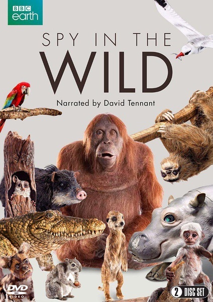 BBC：荒野间谍 Spy in the Wild [2017][纪录片][英国]