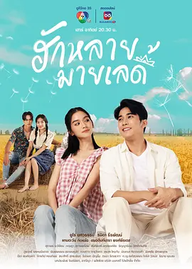 ฮักหลายมายเลดี้