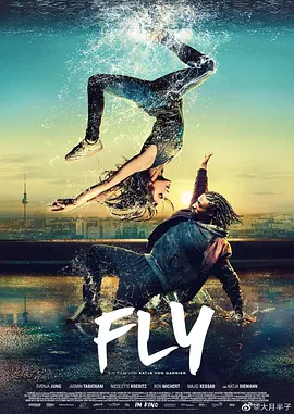 Fly
